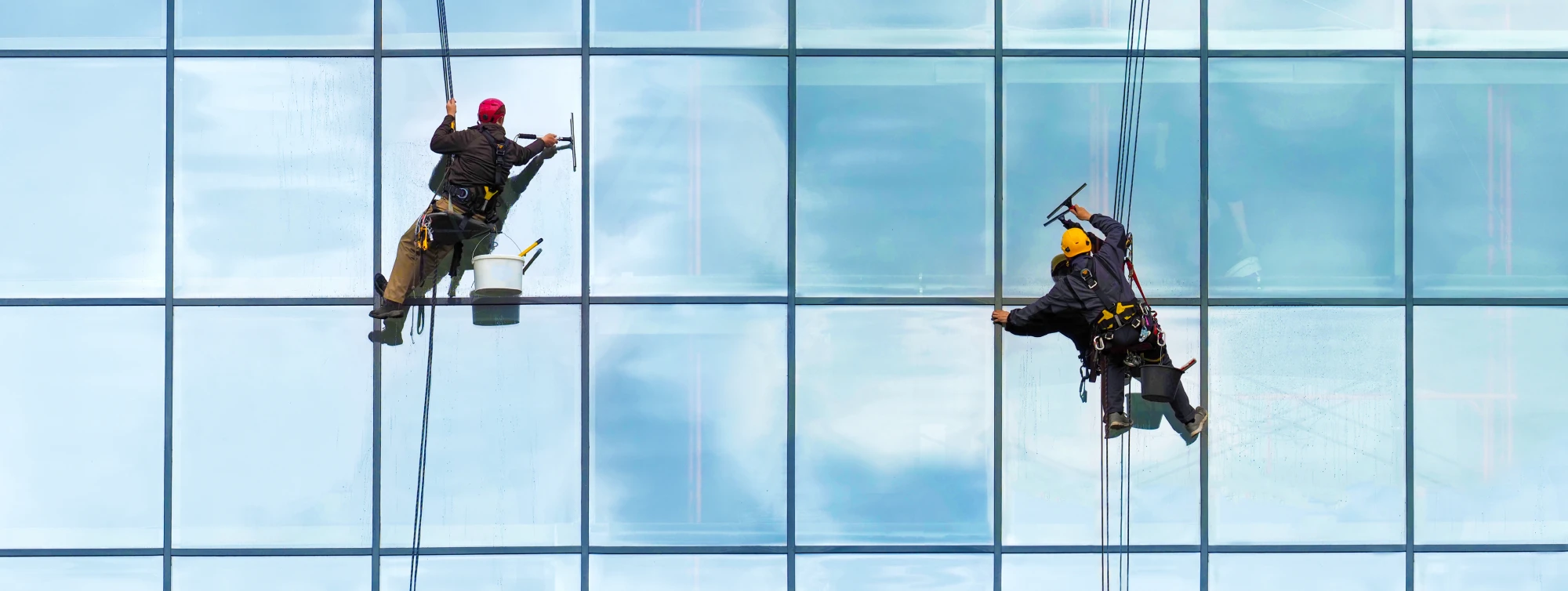 Two window cleaners suspended by harnesses cleaning a tall glass building exterior